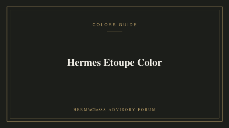 Hermes Etoupe Color: The Ultimate Neutral for Every Collection Hermes Birkin bag in Etoupe color showing the neutral grey-taupe-beige leather tone