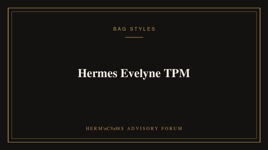 Hermes Evelyne TPM crossbody bag with signature perforated H design