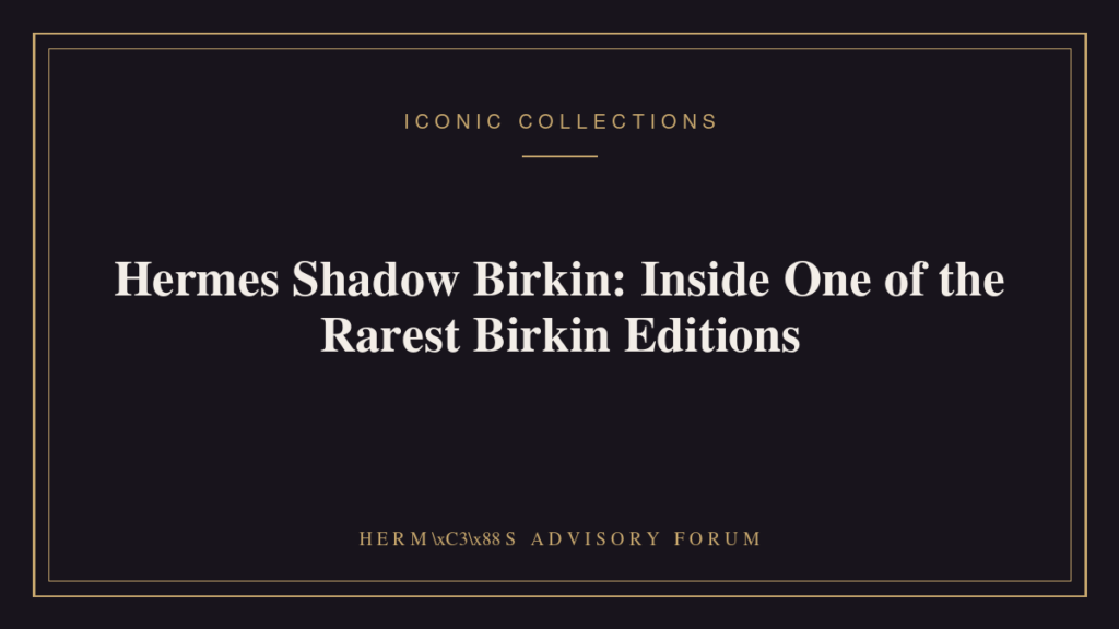 Hermes Shadow Birkin bag showing its laser-cut tonal perforated leather overlay