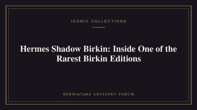 Hermes Shadow Birkin bag showing its laser-cut tonal perforated leather overlay