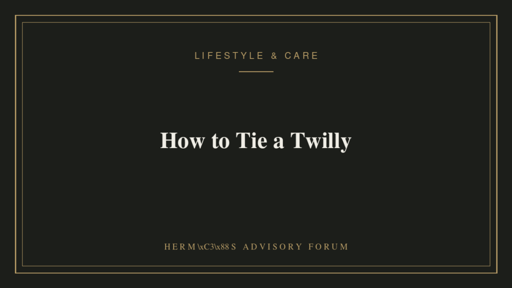 Hermes Twilly silk scarf tied in a bow around a handbag handle