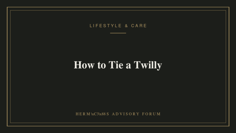 Hermes Twilly silk scarf tied in a bow around a handbag handle
